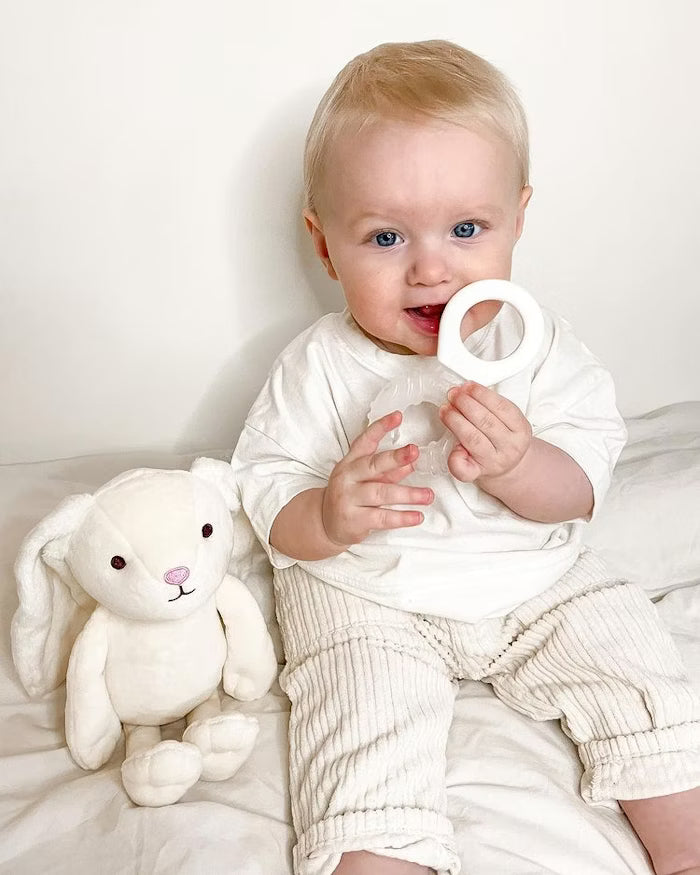 Twistshake Teether Cooler 2+m
