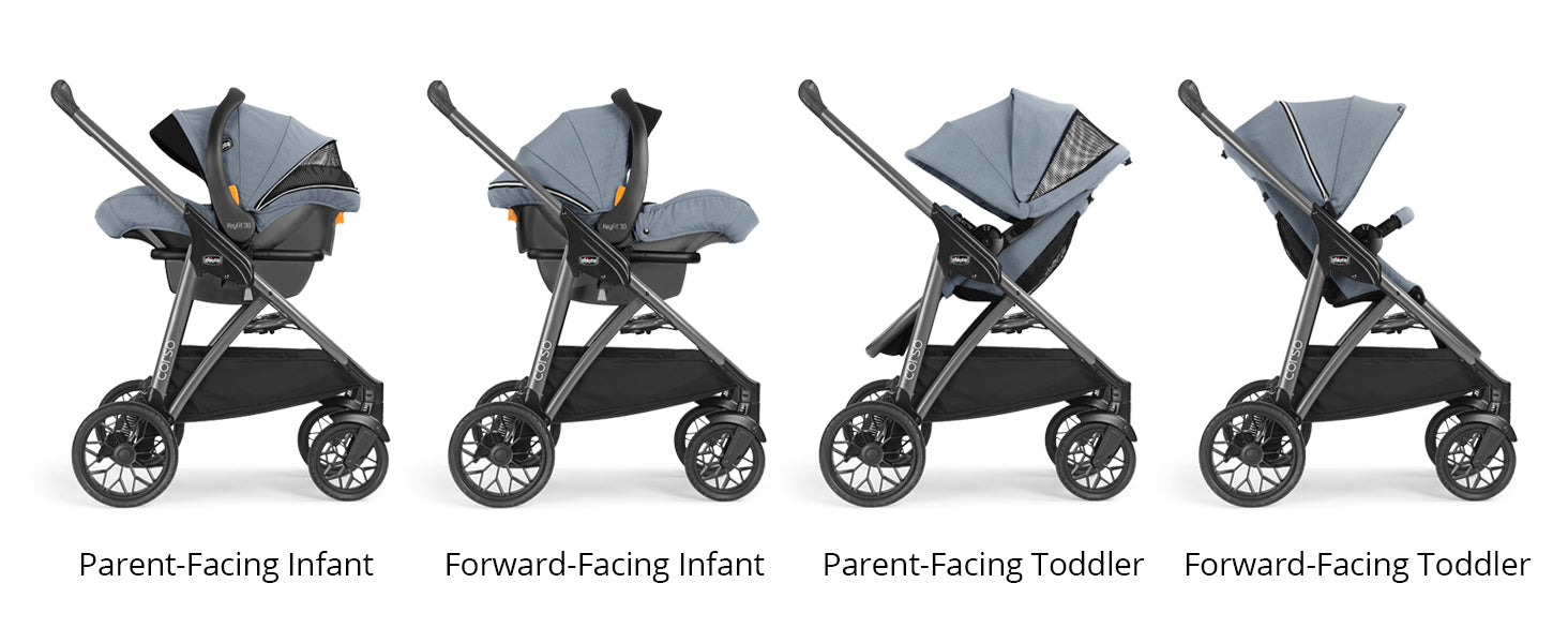 Chicco Corso LE Modular Quick-Fold Stroller - Studio